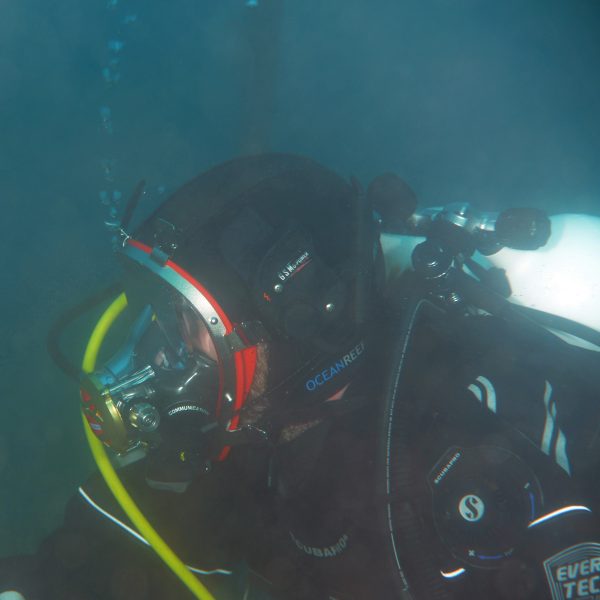 Ocean Reef Iron System