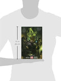 Avengers Undercover Volume 1: Descent