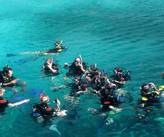 The Benefits of Getting PADI Certified