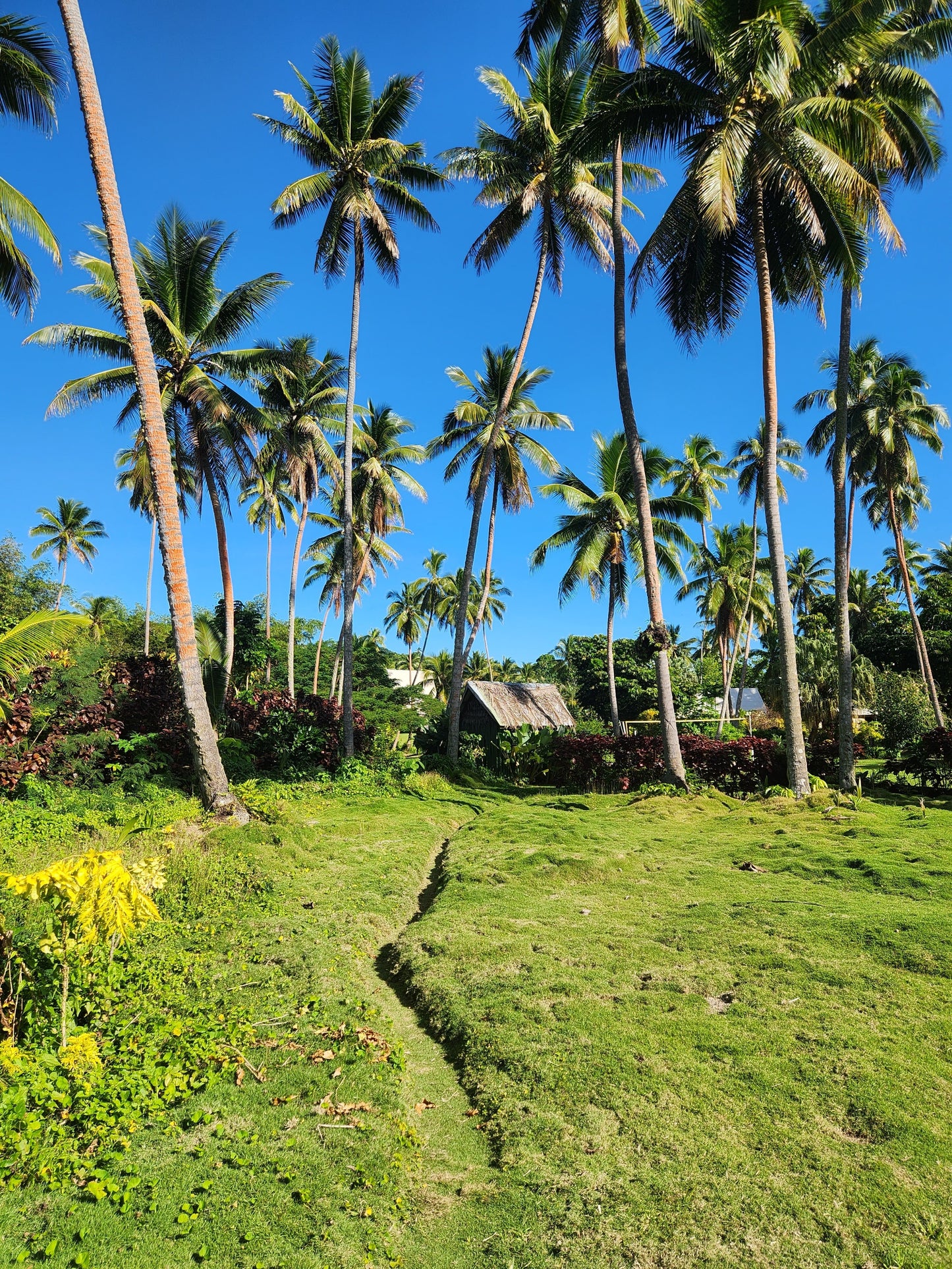 Fiji at Beqa Lagoon Resort