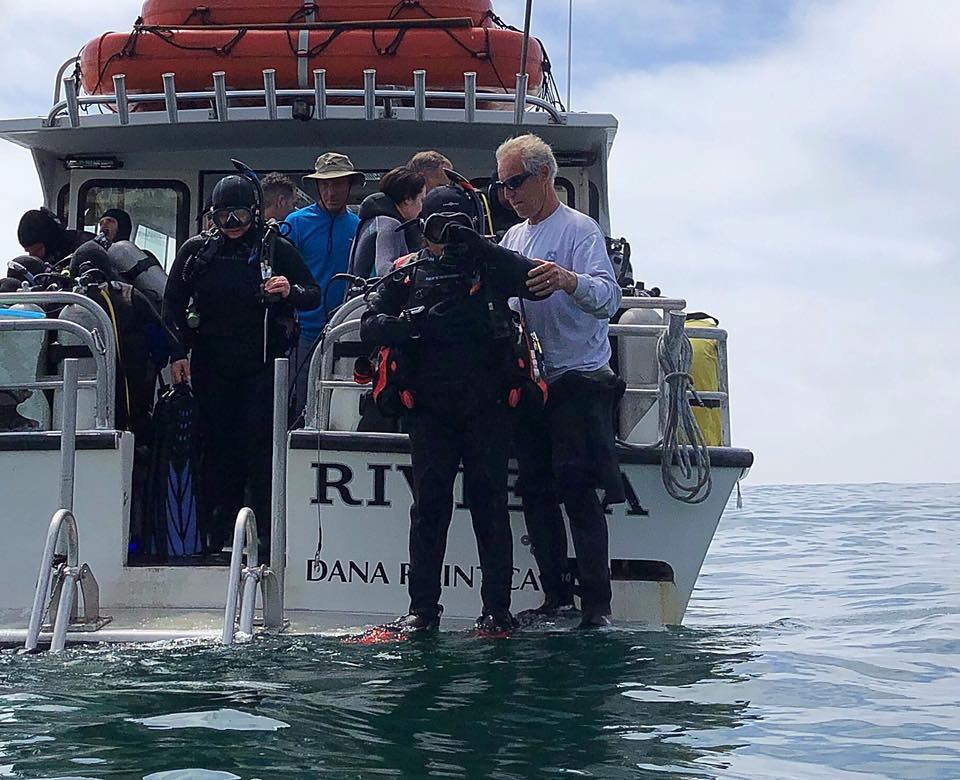 Diver entering water on the Riviera Charters