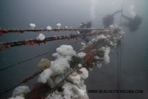 The ACE Wreck in Southern California