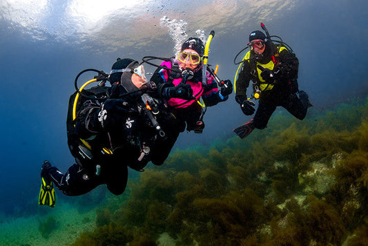 PADI Drysuit Diver Specialty