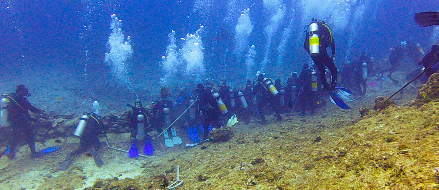 Fiji at Beqa Lagoon Resort