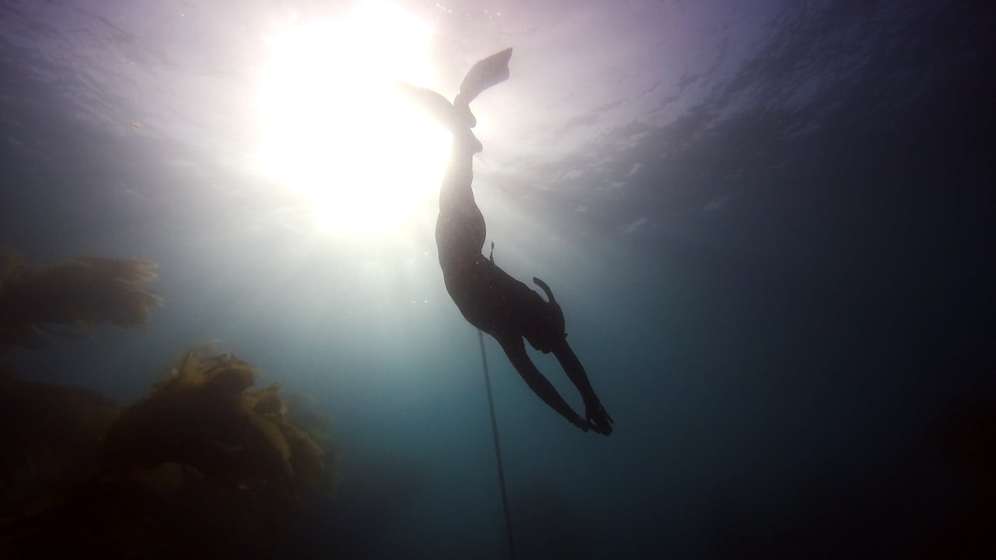 PADI Basic Freediver Course