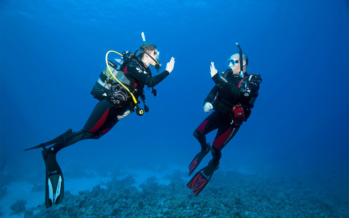 Two Divers Private Open Water