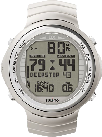 SUUNTO DX SILVER TITANIUM