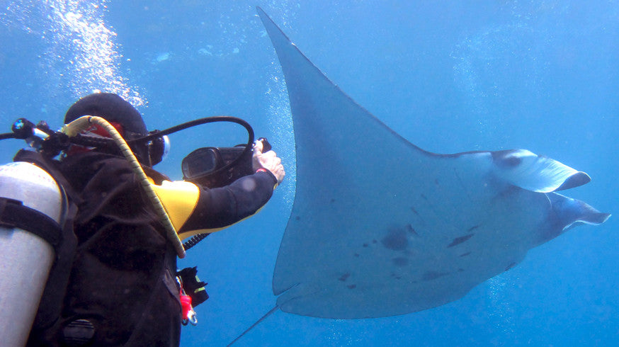 PADI Underwater Videographer