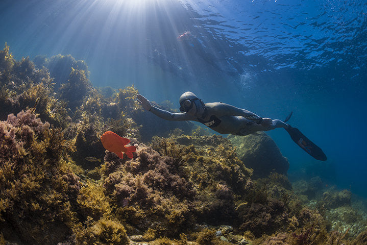 PADI Master Freediver