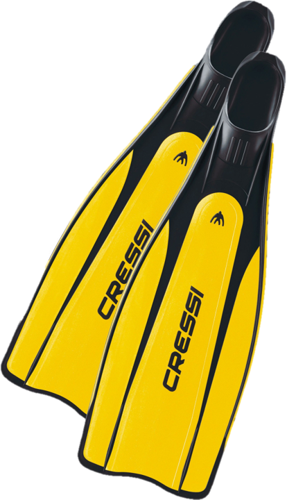 Cressi Pro Star Fins