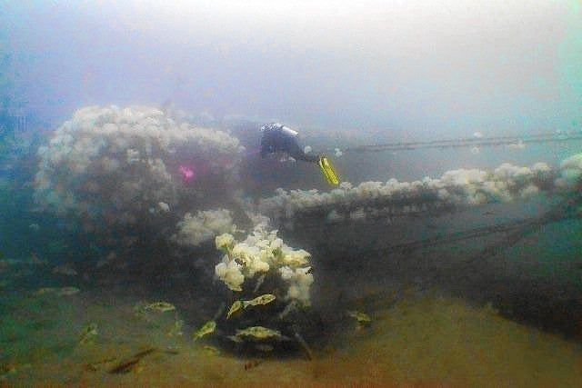 Southern California ACE Wreck