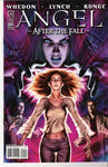 Angel After the Fall #9 cvr B variant (first printing)