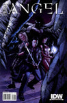 Angel #22 Cvr B (first printing)